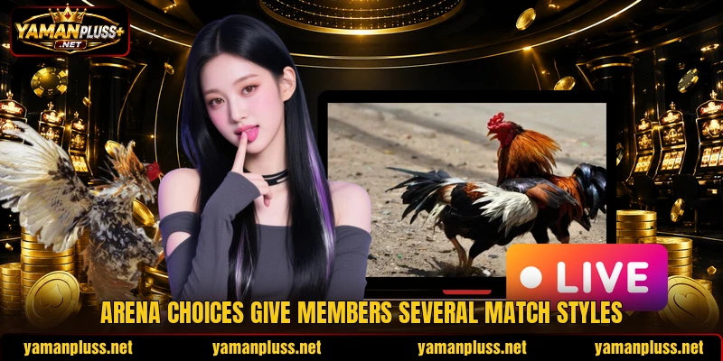 Arena choices give members several match styles Arena choices give members several match styles