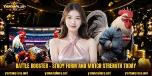 Battle Rooster - Study Form And Match Strength Today