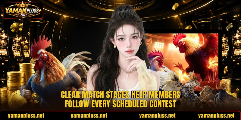Clear match stages help members follow every scheduled contest Clear match stages help members follow every scheduled contest
