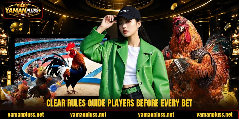 Clear rules guide players before every bet Clear rules guide players before every bet