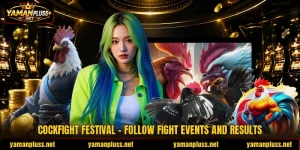 Cockfight Festival - Follow Fight Events And Results