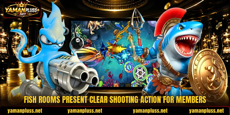 Fish rooms present clear shooting action for members Fish rooms present clear shooting action for members