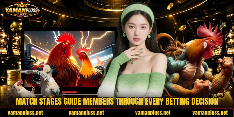 Match stages guide members through every betting decision Match stages guide members through every betting decision