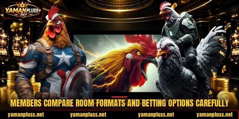Members compare room formats and betting options carefully Members compare room formats and betting options carefully
