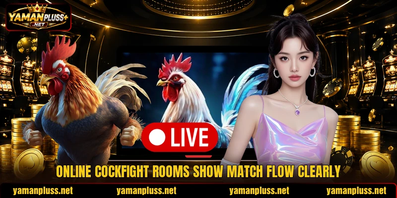 Online cockfight rooms show match flow clearly Online cockfight rooms show match flow clearly