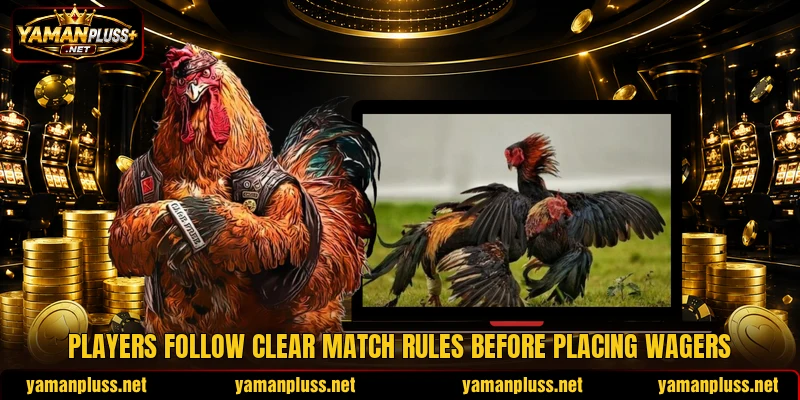 Players follow clear match rules before placing wagers Players follow clear match rules before placing wagers