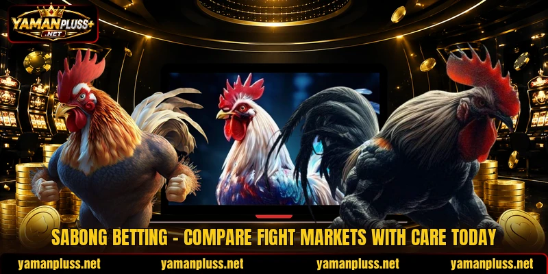 Sabong Betting - Compare Fight Markets With Care Today
